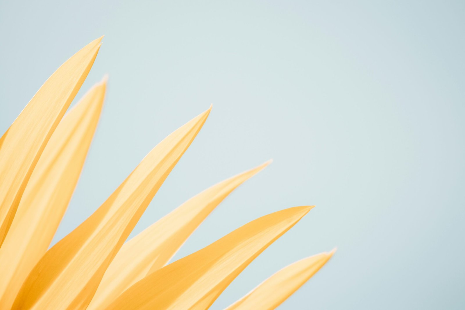 Overcoming One’s “Immunity to Change”